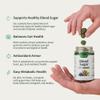 Snap Supplements Blood Sugar Gummies, Support Already Healthy Blood Sugar Levels, Cinnamon Bark and Blueberry Fruit Extract, Green Apple Flavor, 60 Gummies view 4