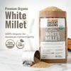 100% Organic White Millet by Grand Teton Ancient Grains | Shelled, Gluten-Free, Hulled Grain for Salads, Pilafs, & Soups | Whole Grain Ready for Milling, (48 Pounds) view 2
