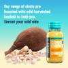 UNROOTED Good Energy Shot (12 Pack, Mighty Ginger) - Immune System and Natural Energy Booster - 12 x 60ml Bottles - Ginger, Turmeric, Chilli & Baobab view 4