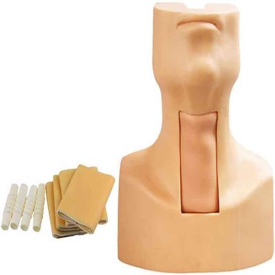 Cricothyrotomy, Tracheotomy Care Training Manikin PVC Tracheostomy Simulator Model,with 4X Simulated Trachea and 4X Neck Skin for Hospitals,Schools,Research Centre etc