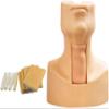 Cricothyrotomy, Tracheotomy Care Training Manikin PVC Tracheostomy Simulator Model,with 4X Simulated Trachea and 4X Neck Skin for Hospitals,Schools,Research Centre etc view 1