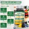 Simhould 2 Pack Sugar Free 3000MG Mullein Gummies - Lung Cleanse, Mullein Leaf Extract Supplement for Respiratory, Organic Mullein Drops with Quercetin & Bromelain for Lung, Digestive Health & Immune view 3