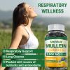 Simhould 2 Pack Sugar Free 3000MG Mullein Gummies - Lung Cleanse, Mullein Leaf Extract Supplement for Respiratory, Organic Mullein Drops with Quercetin & Bromelain for Lung, Digestive Health & Immune view 4