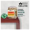 Blessfull Healing Organice TRICOLOR QUINOA 2 lb (907 Gram) view 3