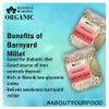 Blessfull Healing Organice BARNYARD MILLET 1 lb (453 Gram) view 2
