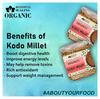 Blessfull Healing Organice KODO MILLET 2 lb (907 Gram) view 2