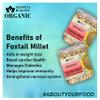 Blessfull Healing Organice FOXTAIL MILLET 2 lb (907 Gram) view 2