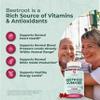 PurePremium Beet Root Gummies 50:1 Extract - 60 Sugar Free Chews - Super Nitric Oxide Beetroot Gummies | Natural Blueberry Flavor - Supplements for Normal Blood Pressure view 3