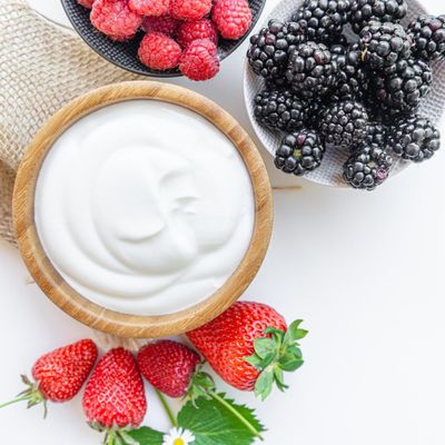 Positively Probiotic Icelandic Skyr | Heirloom Thermophilic Yogurt Starter Culture | 5 Pack