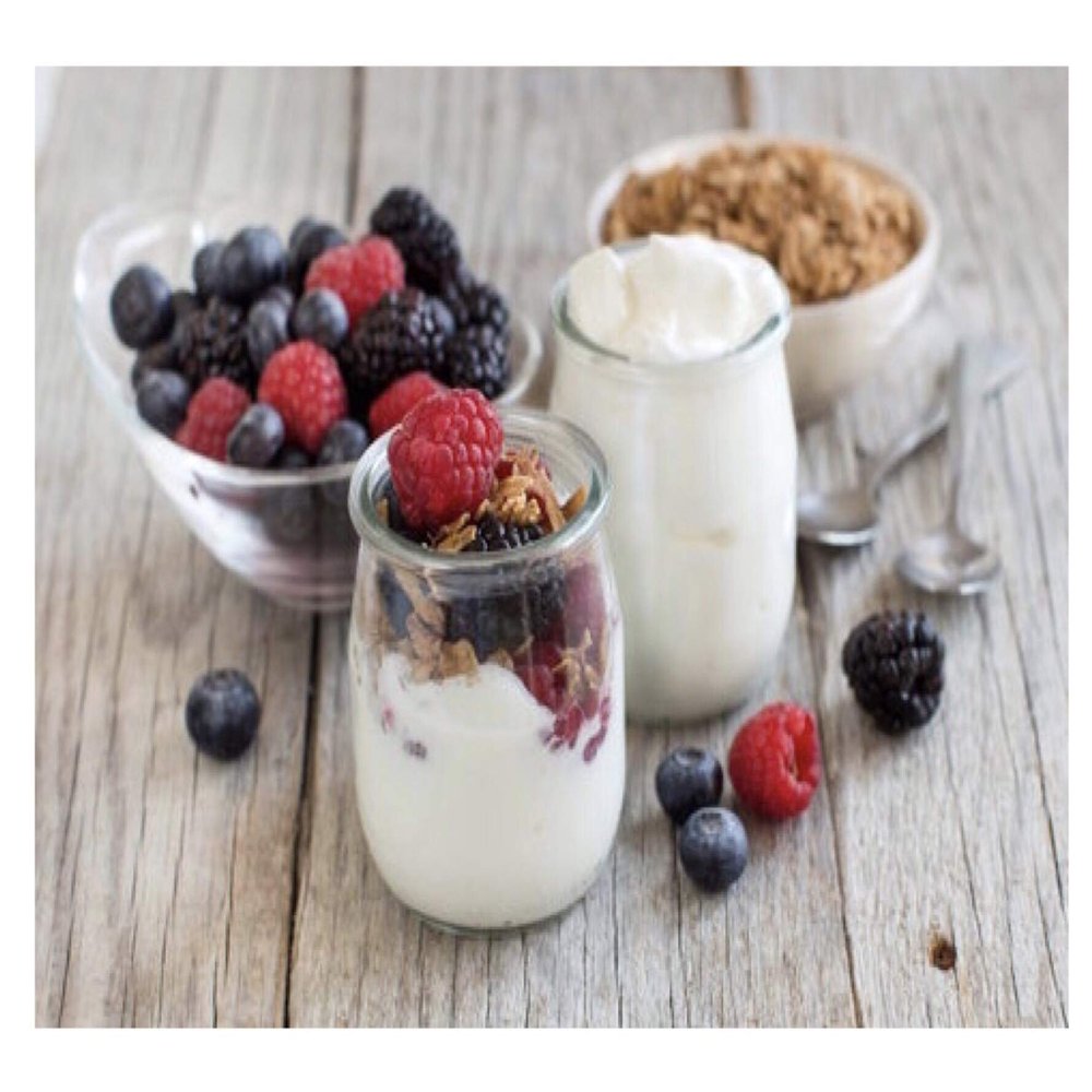 Positively Probiotic French | Heirloom Thermophilic Yogurt Starter Culture | 4 Pack
