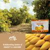 CHAVI Dried Chili Mango | 14 oz | No Added Sugars | Naturally Sweet | Healthy sinple Ingredients Superfood - Family Supersnacks | Unsulfured, Vegan, Non-GMO, Gluten-Free view 3