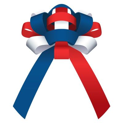 Premium Patriotic Giant Car Bow - 30" Wide Shiny Vinyl Bow with Two 30" Long X 4 " Wide Tails - Weather-Resistant, Waterproof, Magnetic Base Bow for Indoor Outdoor Use - Pack of 2