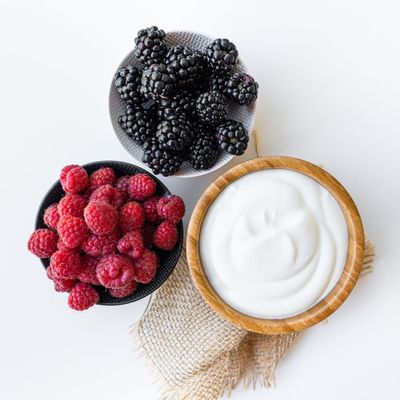 Positively Probiotic Egyptian | Heirloom Thermophilic Yogurt Starter | 5 Pack