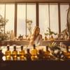 Beach Resort by SLK Aroma - Hotel Collection - Aroma Oil for Diffusers - Waterless, Ultrasonic - Niche Blend of Essential Oils - Ylang Ylang, Bergamot, and Lemon - Aromtherapy (SLKBR500ML, 500 ML) view 3