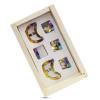 6 Piece Multi Color Dental Rubber Dam Brinker Clamps Universal Set (B1, B2, B3, B4, B5, B6) Clamp for Lower Molars,Premolars, Incisors Canines view 2