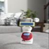 Carbona Carpet Cleaner with Brush | Oxy-Powered Foam for Spot Stain Removal | 13.5 Fl Oz view 2