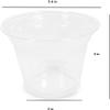 Basidi [9oz Crystal Clear PET Plastic Cups, Fit 92mm Lid, Disposable Cold Cups (Case of 1000) (9oz) view 2