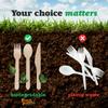 100 Pcs 6 Inch Wood Spoons view 4
