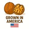 Crazy Nuts | California Grown Whole Walnuts In Shell, 1lb | Raw Walnuts Whole Bulk, Nuts in Shells for Squirrels view 4