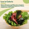 Besway Wakame Seaweed 6 oz, 100% Nature Dried Seaweed for Seaweed Salad, Flavorful Soups & Stews, Healthy Dried Vegetables Non-GMO, Gluten Free view 4