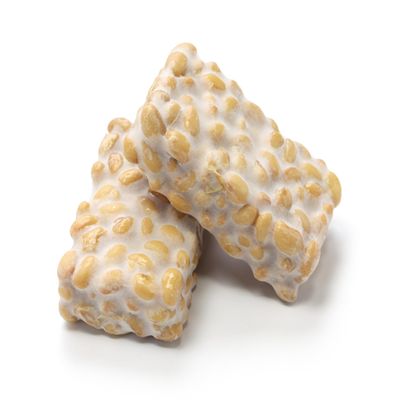 Tempeh Starter Culture with Rhizopus Spores - Make Delicious Tempeh at Home, High Protein Rhizopus Tempeh (Rhizopus oligosporus) - Net Weight: 0.7oz. DIY Plant Based Meat. Gluten Free, Non-GMO.