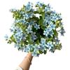 10 Stem Blue Tweedia Japan Fresh Cut Flowers DIY Flower Arrangement Wedding Anniversary Love Gift