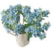 10 Stem Blue Tweedia Japan Fresh Cut Flowers DIY Flower Arrangement Wedding Anniversary Love Gift view 4