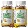 (2 Pack) 9 in 1 Mullein Gummies for Lung Cleanse & Lymphatic Drainage*, Extra Strength Mullein Leaf Extract w/Quercetin, Bromelain, Elderberry & Marshmallow for Respiratory & Immunity,Vegan,120 Count view 1