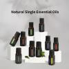 Botanical Aromatherapy Essential Oil, Oily Aromatherapy Essential Oil, Suitable for Diffuser, Massage, Bath, Spa, Skin and Hair Care 0.33oz (RosePetalEssentialOil, 0.33 FlOz (Pack of 1)) view 2