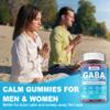 GABA Gummies 500 mg - Sugar-Free Calm Gummies with L Theanine, 5-HTP, Vitamins D3, B12, Ashwagandha, Melatonin-Free for Brain Calm, Mood, Zzz Better, GABA Supplement for Adult, Blueberry Flavor, 1Pack view 3