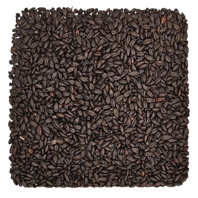 Home Brew Ohio Black Grain 10lb
