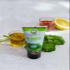 Aroma One Organics Cilantro Puree Paste Organic Herb Concentrate for Cooking, Seasoning & Sauces Fresh Flavor Enhancer, Non-GMO, Gluten-Free, Vegan Easy Squeeze Tube 80 g (1-Pack) view 4