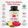 ForestLeaf USDA Organic Beet Root Capsules - Beetroot Supplement 1000mg 20:1 Extract w/Ginger Grape Seed - Support Blood Pressure, Nitric Oxide, Flow, Circulation - Made in USA - 120 Caps view 2