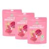 NOKKI FARM Freeze Dried Dragon Fruit - Healthy & Exotic Tropical Superfood Snacks, No Added Sugar or Preservatives, Kid-Approved, Shelf-Stable & Portable for On-The-Go Snacking - 1.76 Oz (Pack of 3) view 1