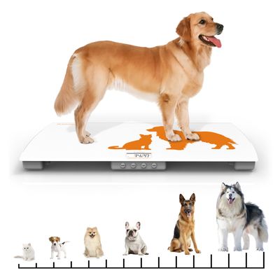 Digital Weighing Scale for Dogs Cats Puppies, Vet Scale, Scale for Animals Pets, 330lb x 0.1lb, Veterinary Scale, 33 x 19in Wide Platform, 8mm Tempered-Glass