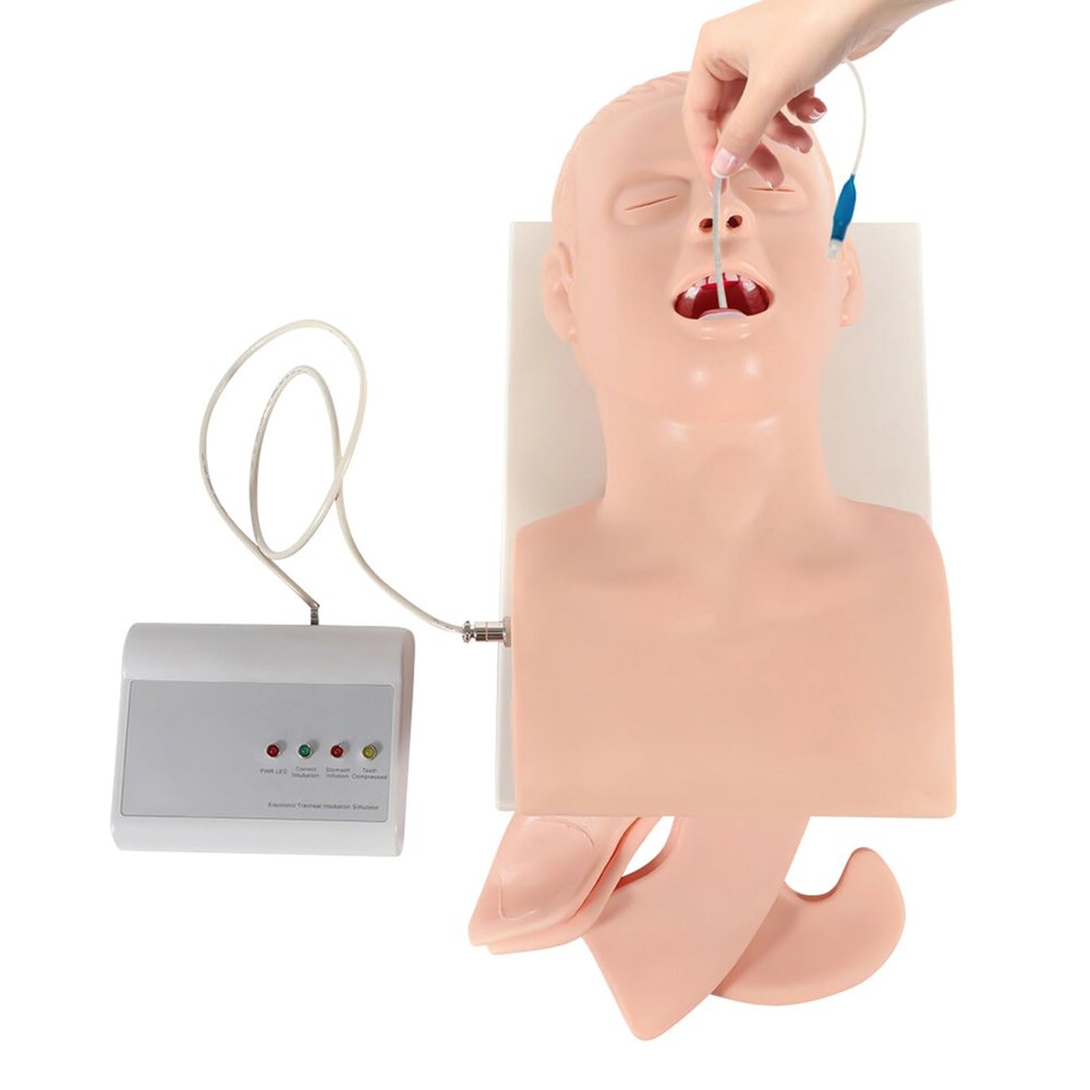 220V Electronic Intubation Trainer, Intubation Trainer Manikin Teaching Model, Teaching Study Model by Airway Management Trainer Intubation Manikin Tracheal Intubation Training Simulator Model