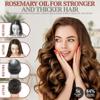 100% Pure Rosemary Oil for Hair Growth, Infused with Biotin, Jojoba & Castor Oils - Natural Hair Strengthening Serum, Scalp and Beard Oil, Aceite De Romero para El Cabello view 2