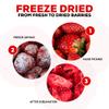 BREWER Freeze Dried Strawberries Slices - Pack of 1 (1.2 Oz) - Natural Freeze-Dried Strawberries No Sugar Added, Single Serving Dry Strawberry, Gluten-Free Fruit Snack for Baking, Smoothies & Camping view 4