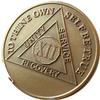 12 Year AA Medallion Premium Bronze Lion Back Sobriety Chip view 1