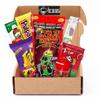 Chamoy Pickle Kit by CHRONOS 9 Piece Kit includes Alamo Big Tex Chamoy pickle, Skwinkles Watermelon Flavor, Lucas Gusano (tamarind), Lucas Polvos (chamoy), Tajin Packet, Fruit Roll Up, Tamarind Pulp Candy, Takis Fuego and Chronos Magnet view 1