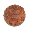 18 Years Red Ginseng Slices Korean Ginseng Red Panax Korean Red Ginseng Roots Slice Korean Ginseng Dried Red Panax Ginseng Slices Red Ginseng Root Slices Red Ginseng Slice (1000 Grams/2.20 lbs) view 1