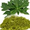 neotea Papaya Leaf Powder, 300g GM (0.6 lbs) | Dried from Fresh Green Leaves | Carica Papaya Powder | Non-GMO | Raw Leaf Powder (NO Fruit, NO Seeds) view 2