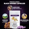 Addictive Wellness Black Ginger Capsules 450mg, Kaempferia Parviflora Supplement to Support Energy, Metabolism, Endurance & Performance, Thai Black Ginger for Men, Vegan & Paleo, 500 Count view 3