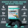 VIFSSG EAA Gummies 120 Gummies (Blue Raspberry), Essential Amino Acids - All 9 Essential Aminos (EAA) and All Branched-Chain Aminos (BCAAs), Non-GMO, Gluten Free, Vegetarian Friendly view 3