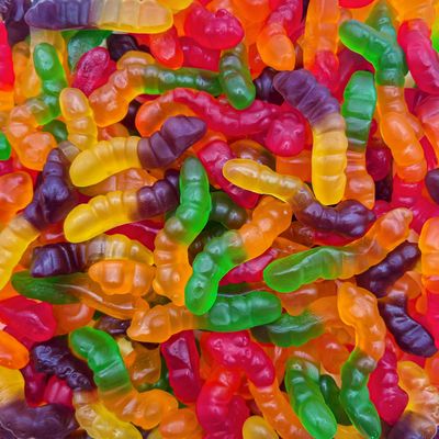 Gummy Worms Candy | 1 Pound Bag | Assorted Fruit Flavored | Fun Gummies with Chewy Texture | Classic Gummi Worms for Parties, Snacking & Buffets | Colorful Treat