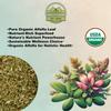 ZeeHERBS Organic Alfalfa Leaf 4 oz. (113g) Pack, USDA Certified Organic Alfalfa Leaf Herb Loose Leaf Tea, Premium Quality Medicago Sativa Herb, Cut & Sifted, Alfalfa Tea Leaves view 2