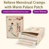 LEEOYINK Portable herbal heating patch for menstrual cramps, Period Heating Patches for Weak & Normal Flow,disposable heating patchmoxibustion heat therapy patch (8 Count) view 4