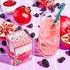 Plink! Fizzy Electrolyte Tablets for Adults & Kids  Pomegranate Berry, 48ct  Family-Friendly Daily Hydration  Low Sugar, Vegan, Keto Friendly, Non-GMO view 3