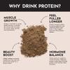 JUST INGREDIENTS Protein Powder - Chocolate, Grass-Fed Whey, Organic Whole Food Blend - 15 Servings, 24g Protein view 4