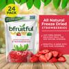 bfruitful Freeze Dried Strawberries, Freeze-Dried Strawberry Snacks with No Sugar Added, Vegan, Non GMO, Kosher, Fruit Bites for Kids and Adults, 0.56 oz Single-Serve Packs, 24 Count view 2